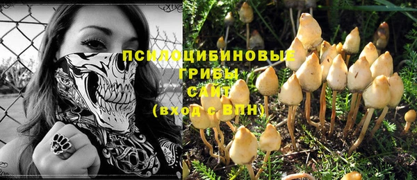 винт Новодвинск