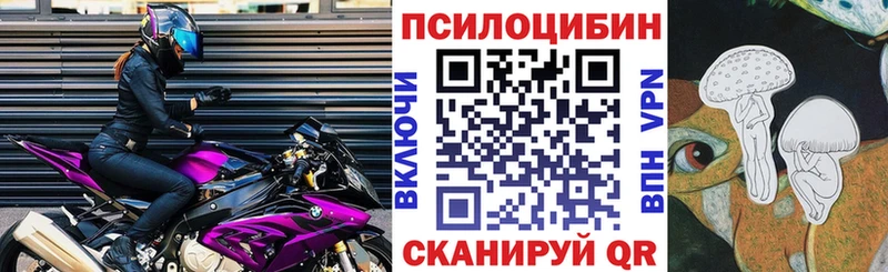 Галлюциногенные грибы MAGIC MUSHROOMS  Купить закладки  Нижний Ломов 